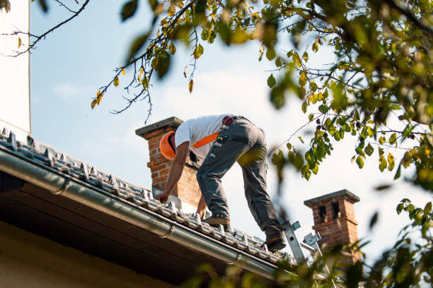 Best Residential Roofing Contractor  in Pekin, IL