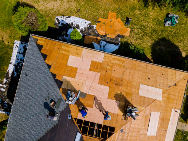 Best Metal Roofing Contractor  in Pekin, IL