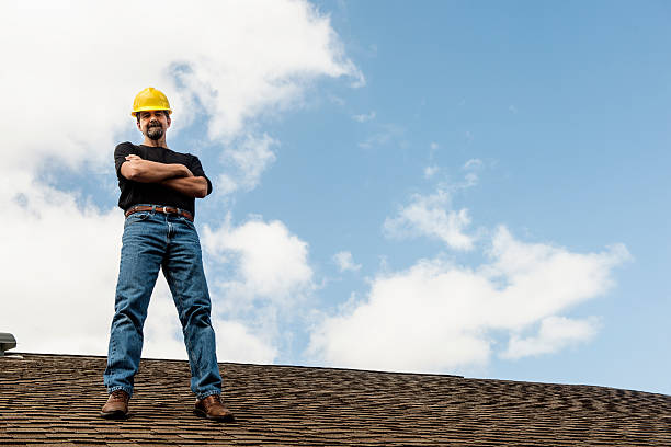 Best Roof Gutter Cleaning  in Pekin, IL