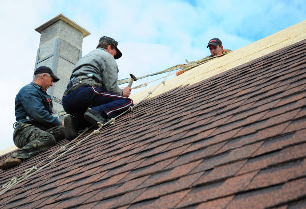 Best Gutter Installation and Roofing  in Pekin, IL